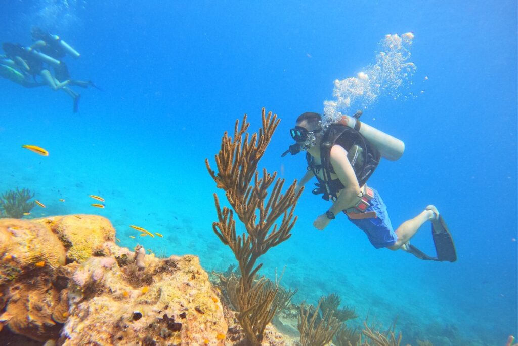 Eric Claggett scuba diving in Dumaguete, Philippines.