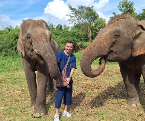 American visits an elephant sanctuary in Chiang Mai, Thailand and is feeding two elephants at once.