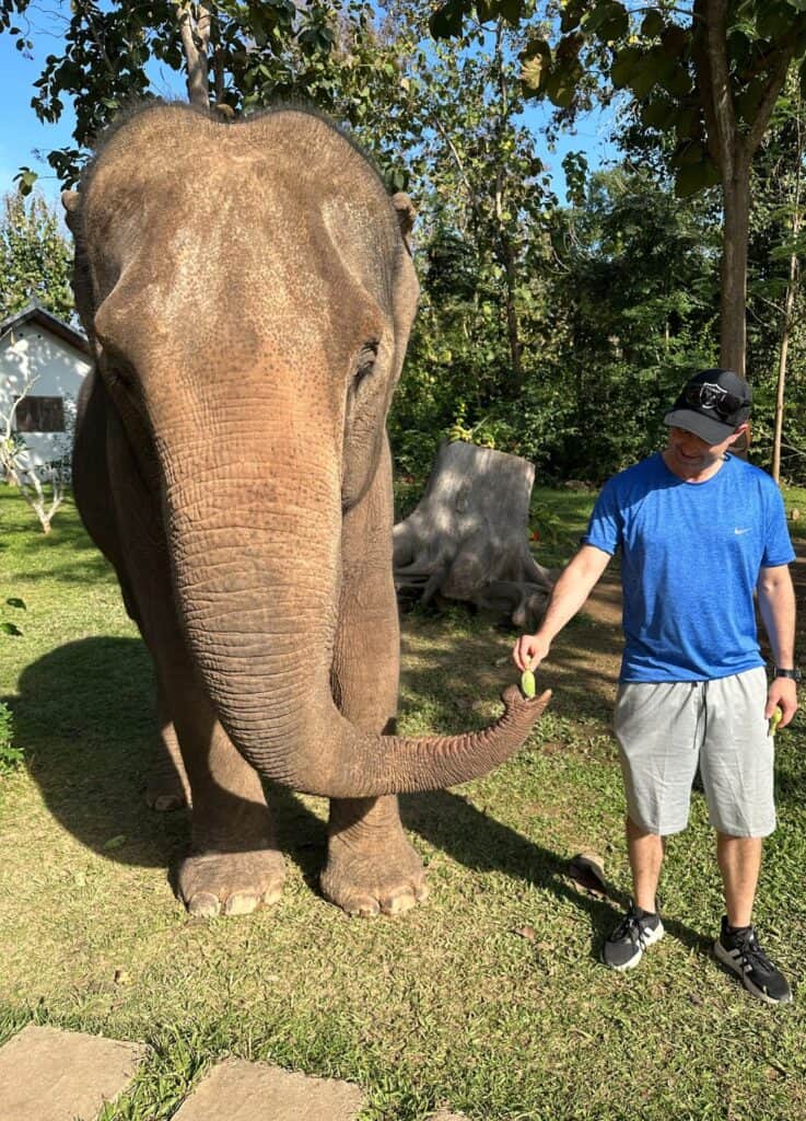 Feeding elephants in Luang Prabang, Laos.